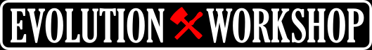 Evolution Workshop